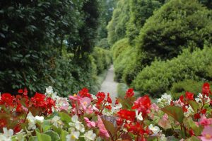 giardino botanico villa carlotta